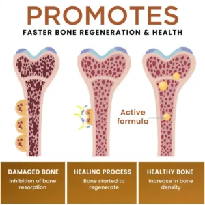 🔥FDA Approved⭐ WHO Approved🌍 Croaie® Bee Venom Pain-Relief Joint Soothing Spray - No allergies🌸 quick and effective⚡️ The first 200 customers will receive double the order🎁!